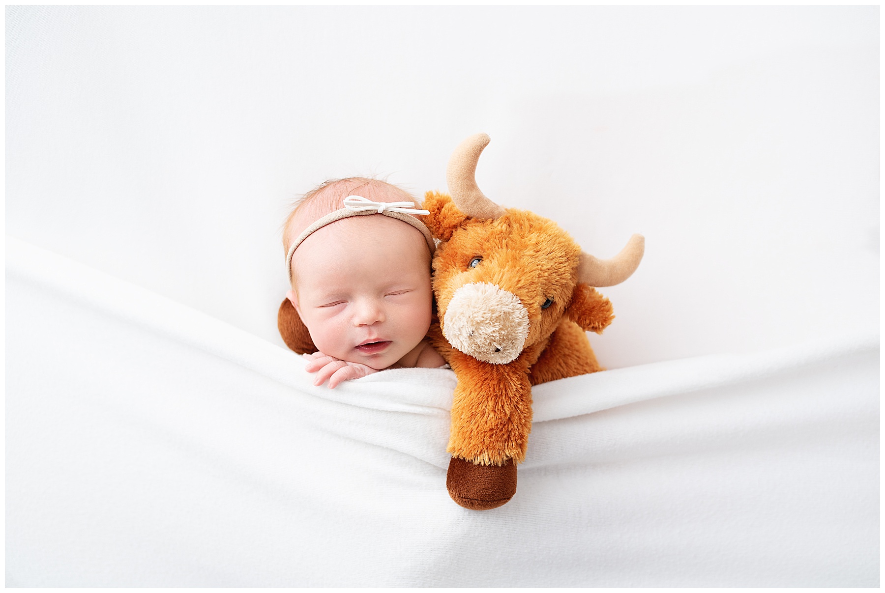 UT  longhhorns newborn photographer