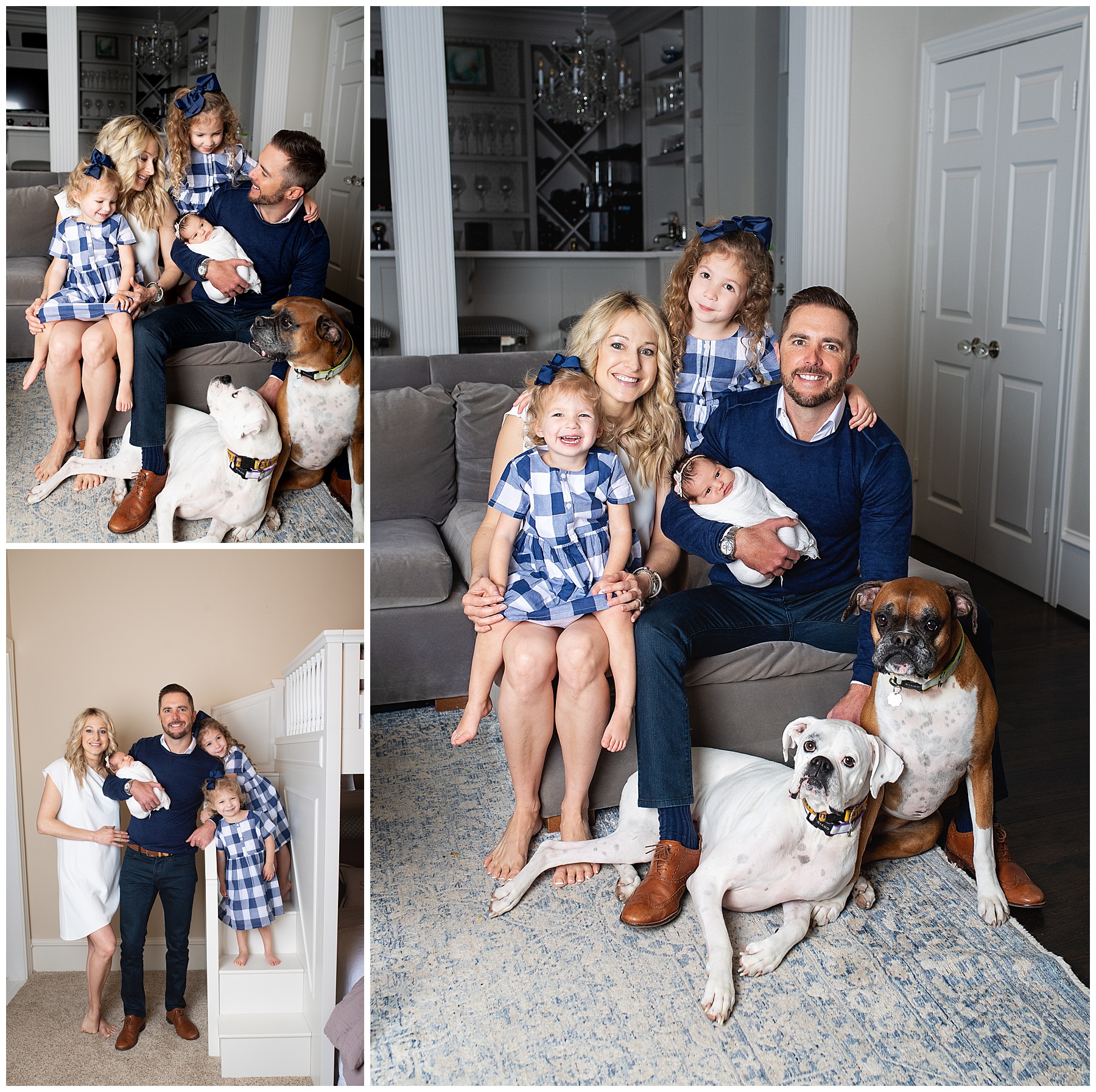 newborn family shoot in home with their dogs