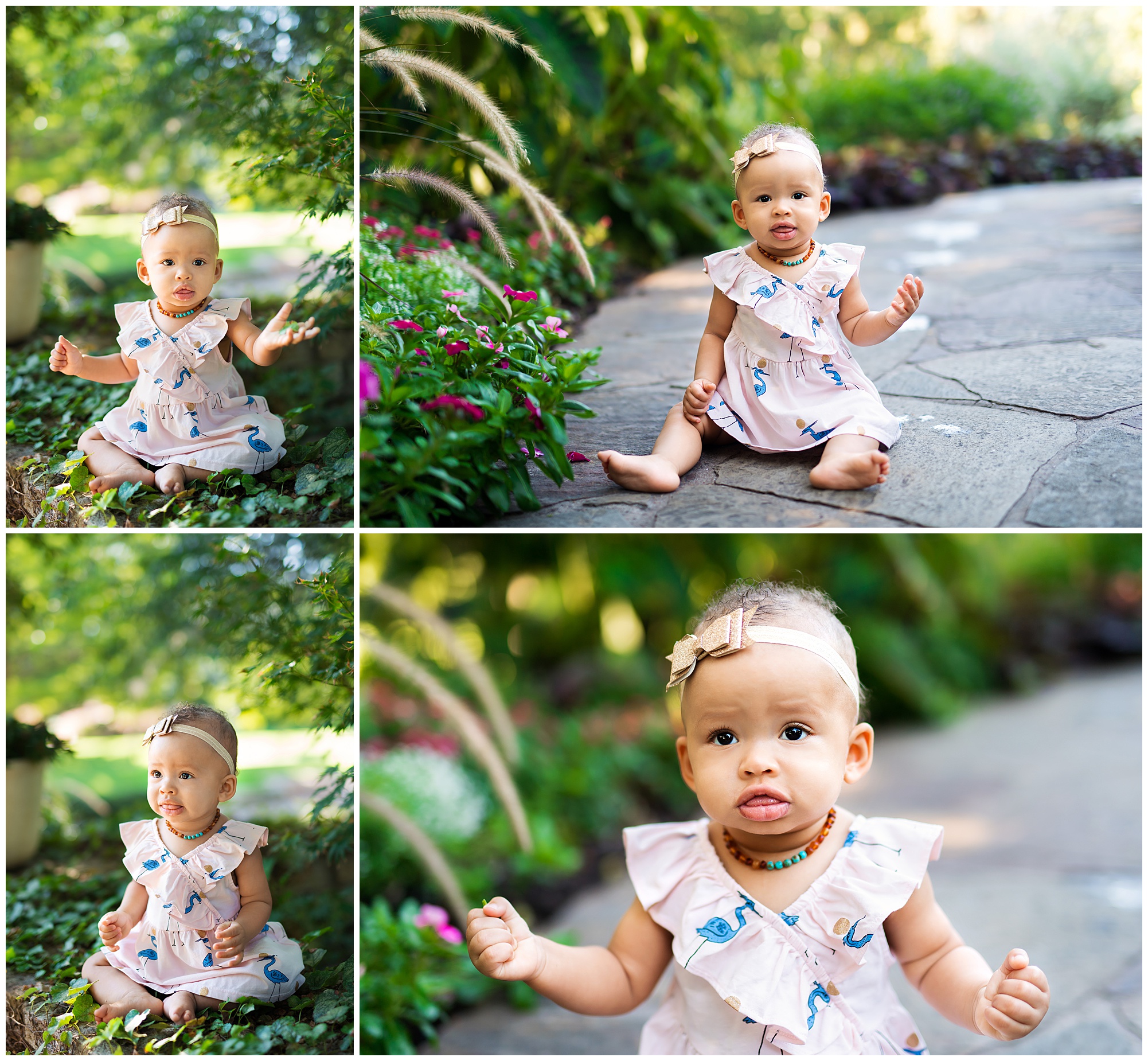 six month old during her photo session at the botanic gardens