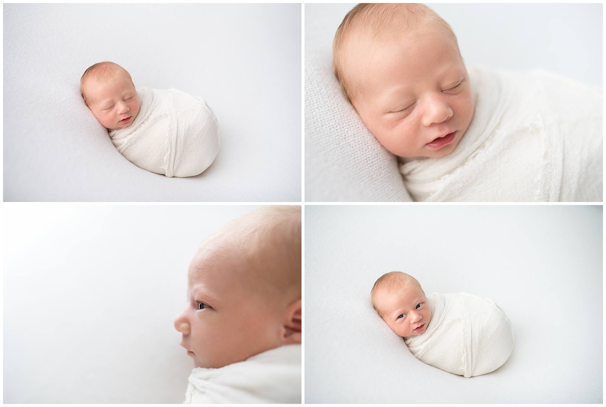 newborn boy laying wrapped up during his photo session