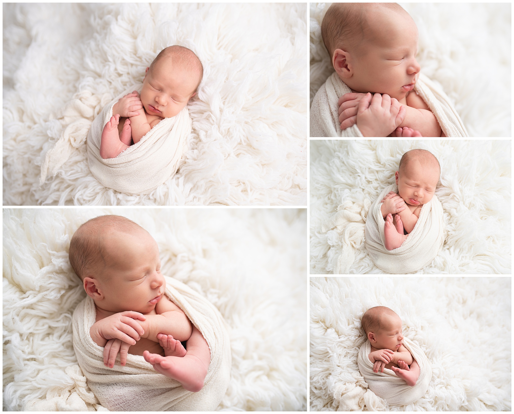 baby boy wrapped up for his newborn photos