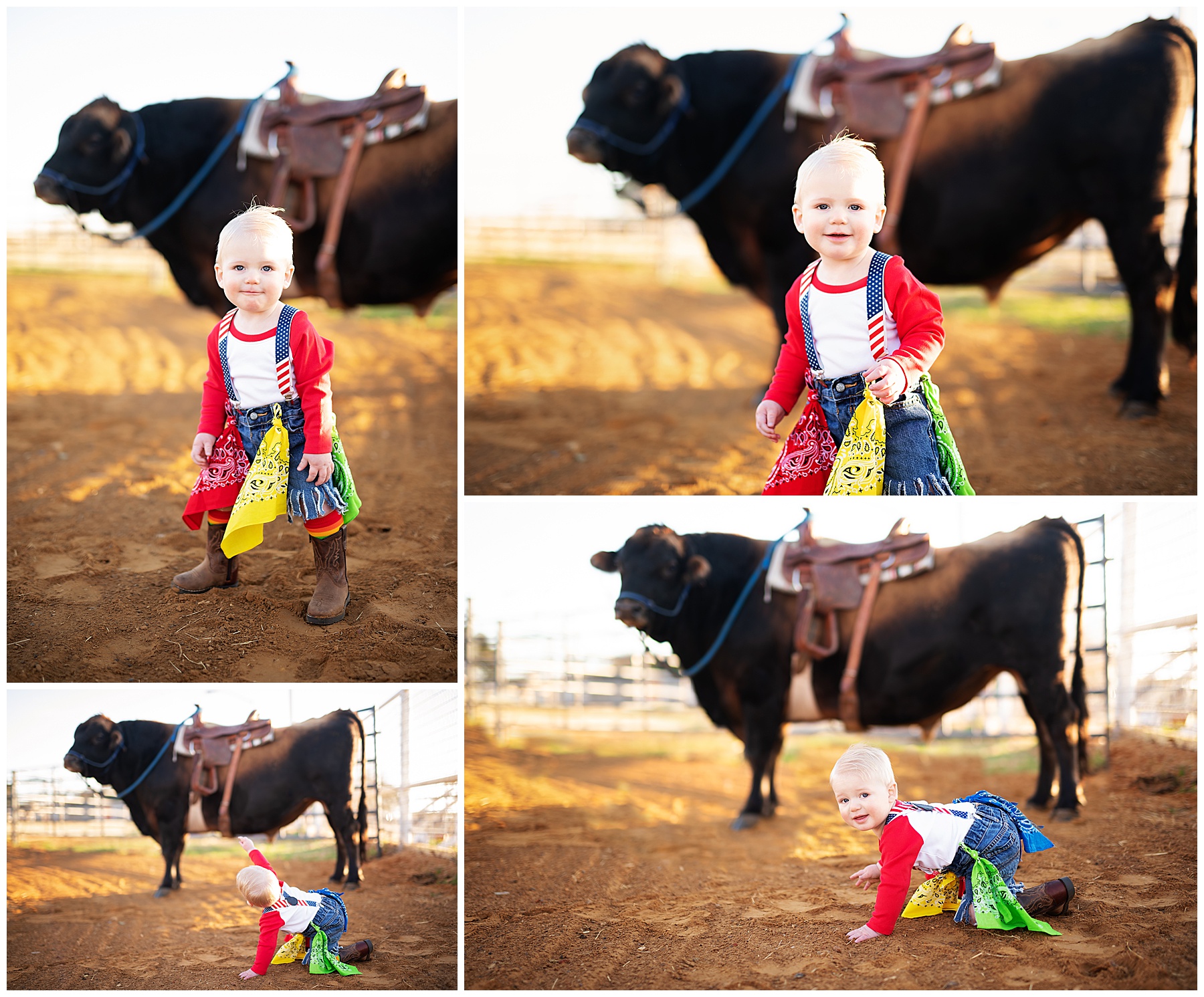 one year old in his clown costume with a cow