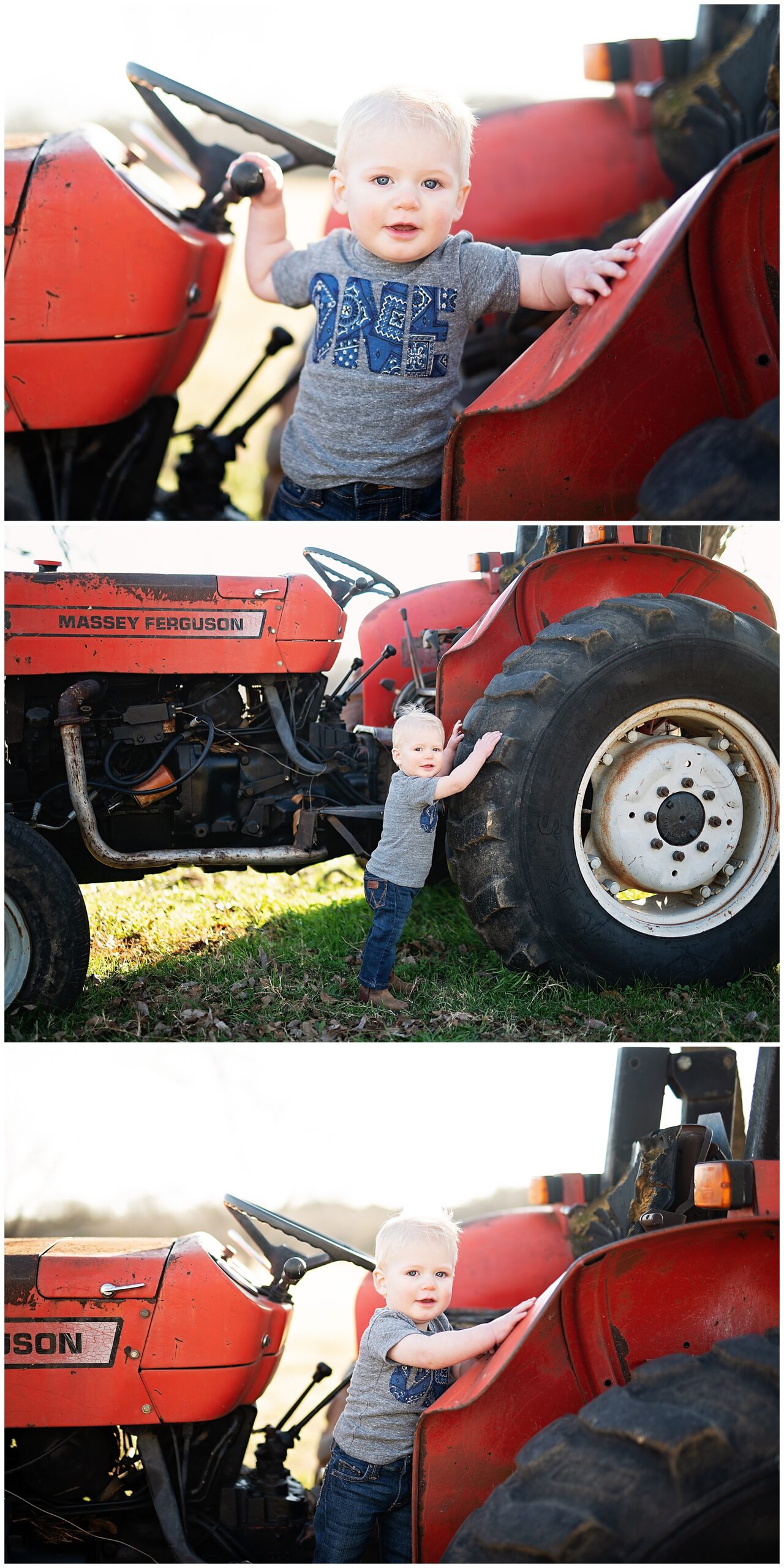 first birthday photos with a big red tractor