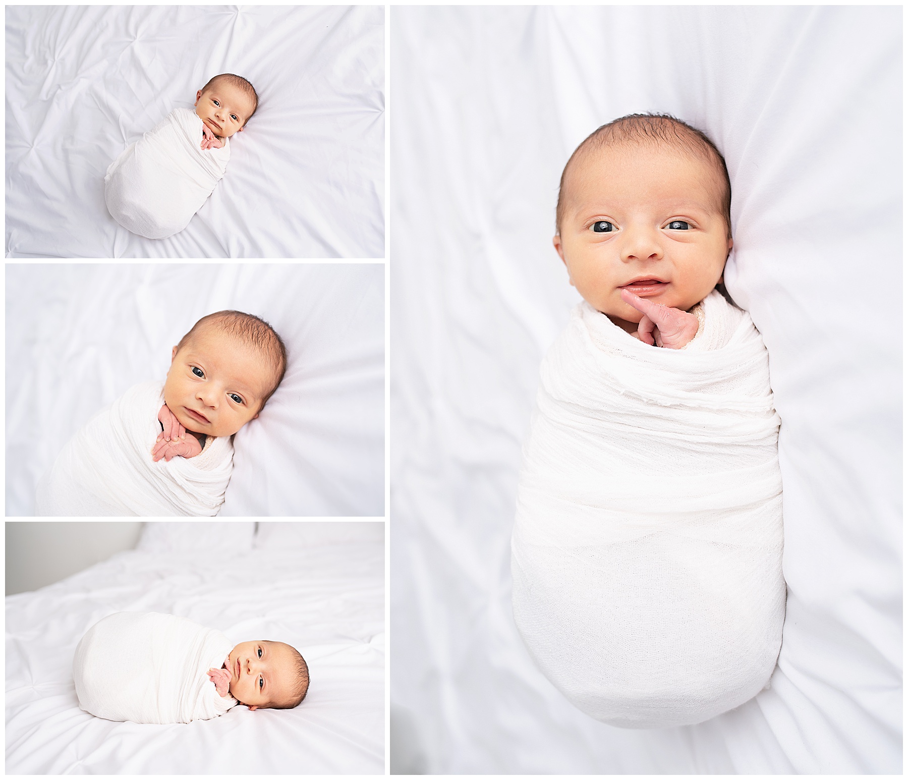 wide awake baby boy laying for his newborn photo session