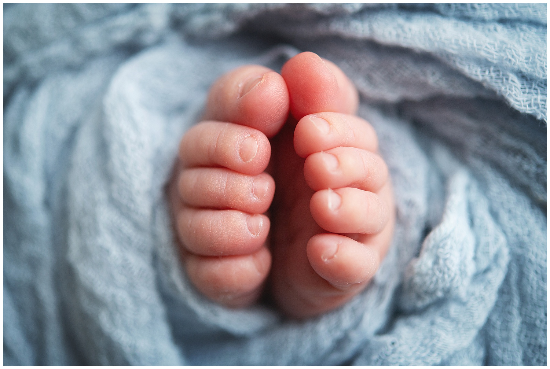 macro photo of newborn baby boys toes